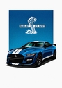 2020 Shelby GT 500